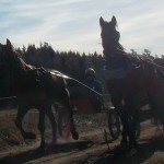 SAM_4301